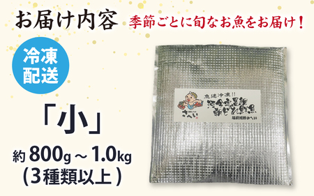 【日本海鮮魚】漁師厳選鮮魚真空冷凍セット 約800g～1.0kg(3種以上) | 魚 詰め合わせ 新鮮 煮物 焼き物 お造り 刺身 晩酌 食卓 BBQ 急速冷凍 真空パック 鮮魚セット 詰合せ 鮮魚店
