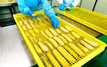 No.858 坂東市産　干し芋　紅はるか　100g×5パック