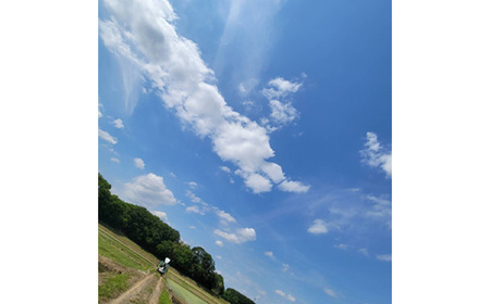 No.388 玄米　コシヒカリ5kg【令和5年産】