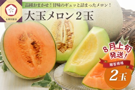 メロン　贈答大玉2個【2025年8月上旬発送】贈答規格メロン 大玉2個 青森メロン 五所川原メロン