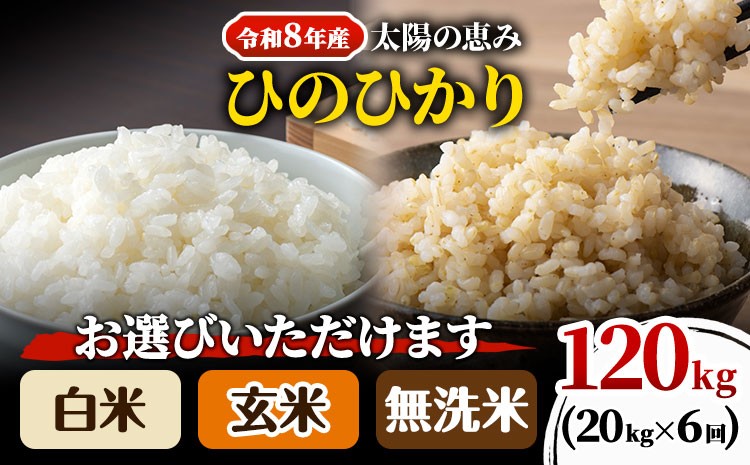 
                  【令和8年産】 岡山県産 ひのひかり 笠岡産 20kg×6回（計120kg） 太陽の恵み （白米　無洗米　玄米からお選びいただけます） st-p
                
