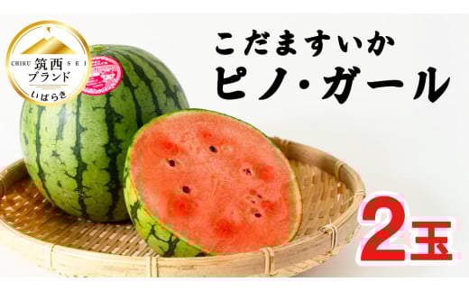 こだますいか 「 ピノ・ガール 」 2玉 2025年産 先行予約 筑西ブランド こだまスイカ 小玉スイカ すいか スイカ フルーツ 果物 [AF005ci]
