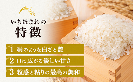 いちほまれ 無洗米 10kg 高級ブランド米 いちほまれ