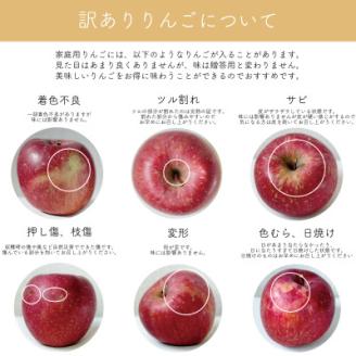 【家庭用】藤崎町産りんご　サンふじ約10kg(26～40個)【配送不可地域：離島・沖縄県】