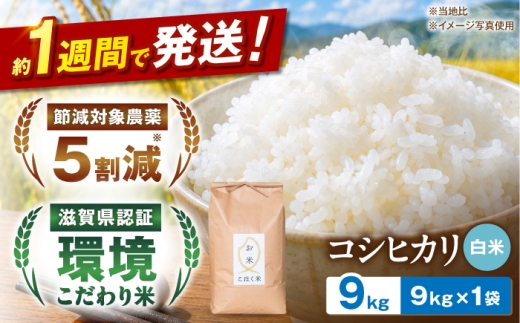 【スピード発送】〈令和7年産米〉湖北産 コシヒカリ(白米) 9kg お米 長浜市/株式会社エース物産[AQAK004] 米 お米 白米 米 精米 白米 はくまい こめ こしひかり 米9kg 精米 ブランド米 国産 湖北産 滋賀県産 滋賀県 長浜市