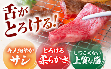 佐賀牛上カルビ 500ｇ×2 HCS007 上カルビ 牛肉 焼肉 BBQ 