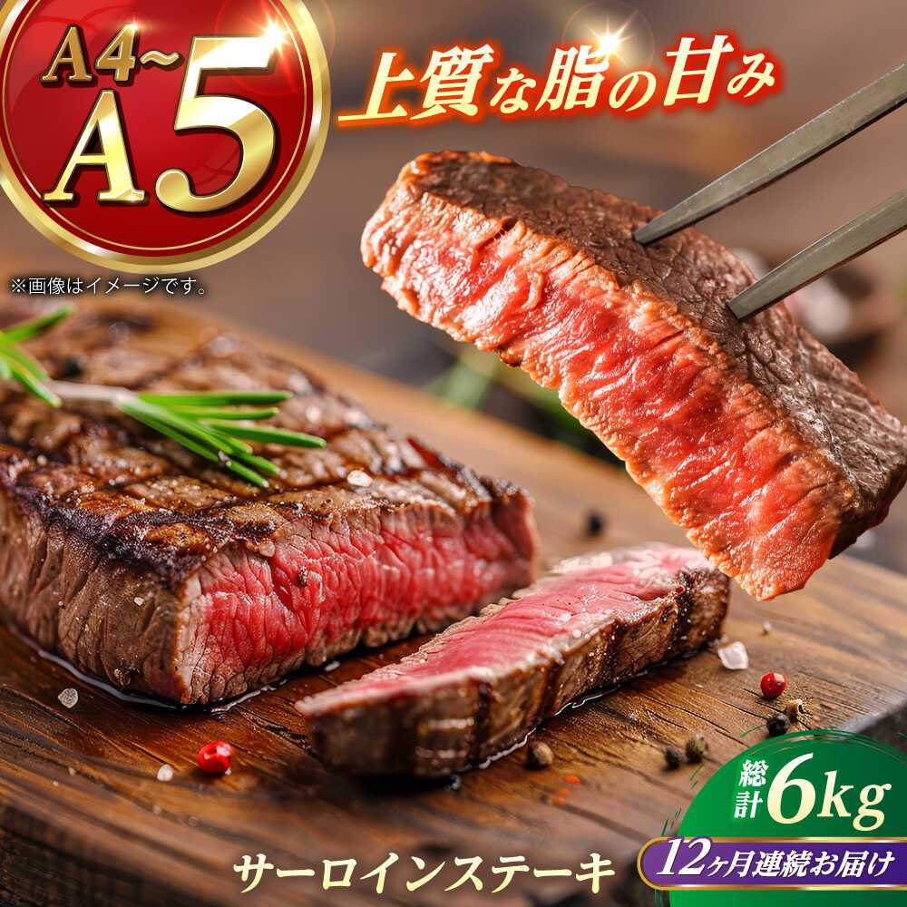 【ふるさと納税】【全12回定期便】 長崎和牛 サーロイン ステーキ 250g×2 【KRAZY MEAT】 A5 A4 冷凍 和牛 肉 牛肉 BBQ[RCQ013]