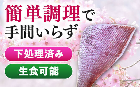 天然 桜鯛 フィーレ 500g 程度《対馬市》【対馬新鮮組】 下処理済 鯛 真鯛 サクラダイ 新鮮 お祝い 冷凍配送 産地直送[WCS013]
