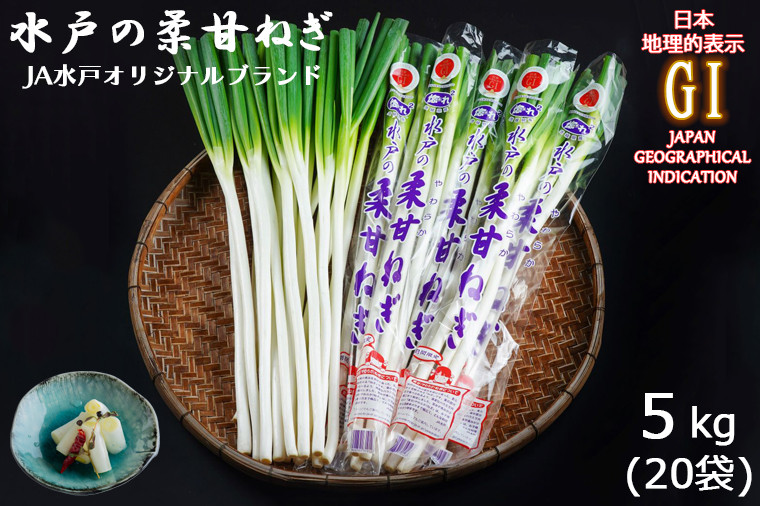 
            【12月以降発送】JA水戸のオリジナルブランド品！「水戸の柔甘ねぎ」地理的表示（GI）保護制度登録の産品です！【ネギ オリジナルブランド 野菜 やさい 水戸市 水戸 茨城県 20000円以内 2万円以内 】（IL-2）
          