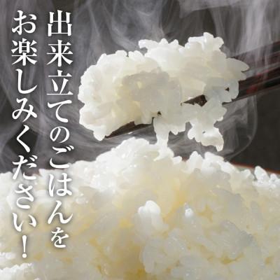 ふるさと納税 八代市 【令和6年産】熊本県産 森のくまさん 10kg(5kg×2袋) お米ひとすじ70年!八代食糧 |  | 02