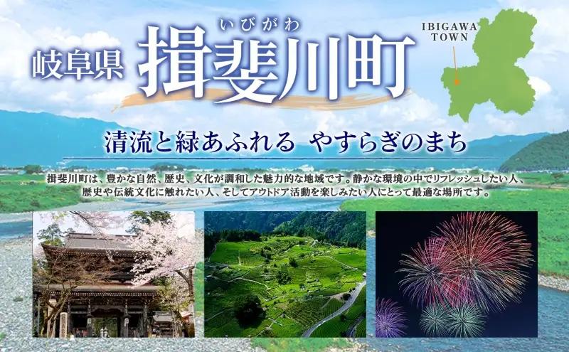 ＜26年秋発送 先行予約＞利平栗の 栗きんとん 8個入り 和菓子 お菓子 くりきんとん クリ 栗 くり 利平栗 マロン お茶請け 贈答品 プレゼント 手土産 個包装 お取り寄せ 送料無料 揖斐菓匠庵 