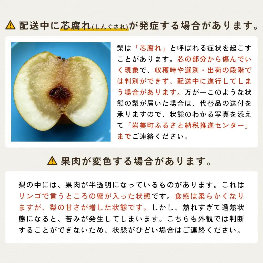 【先行予約】中野農園 梨 ”あたご梨” 5kg箱｜鳥取 岩美 梨 なし ナシ※お届けは2026年11月以降【41014】