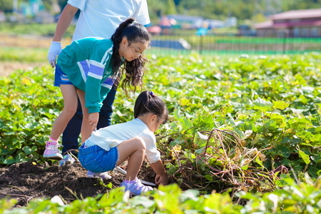 手ぶらで気軽に「農」に触れることができる！ あい農パーク春日井施設利用券【6,000円分】