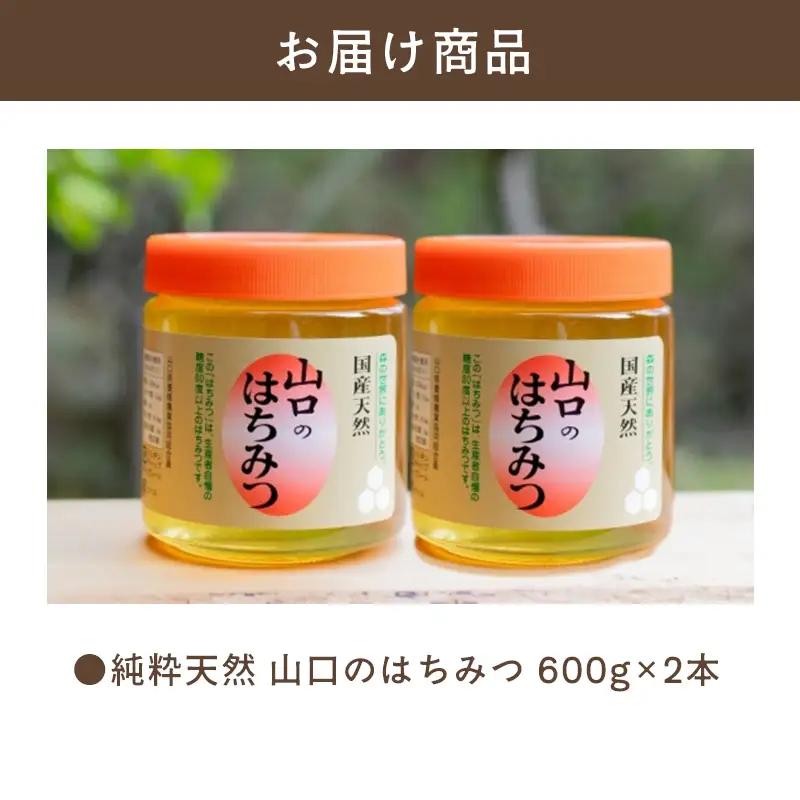 純粋天然 山口のはちみつ600g 2本