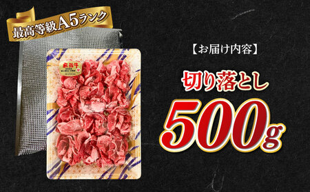 A5等級 飛騨牛 切り落とし 500g ブランド牛 最高級 A5ランク 岐阜市 / 三心[ANGY011]