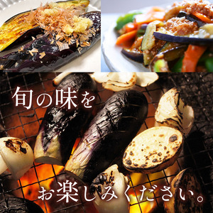 【定期便6回】旬を味わうナス 約3kg