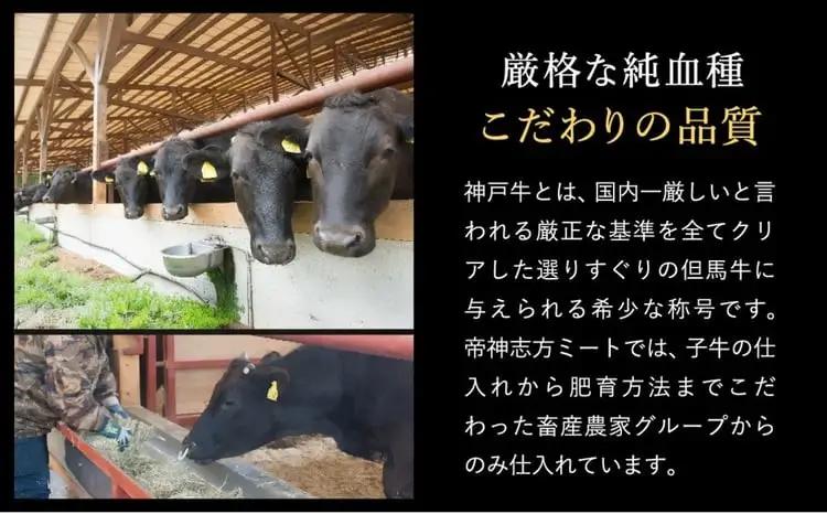 神戸牛 生ハンバーグ100g×6個