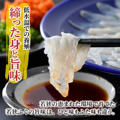 ふるさと納税 小浜市 【毎月定期便】若狭ふぐ刺しセット(4人前)全3回 |  | 01