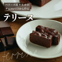 【ふるさと納税】the TERRINE　ベリーズ産カカオのチョコレートから作るテリーヌ 18000円