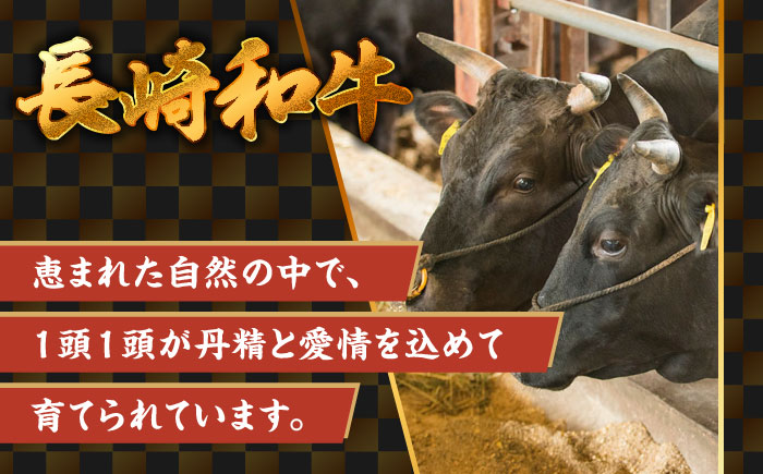 【A4ランク以上】長崎和牛 切り落とし 500g / 和牛 国産 牛肉 にく きりおとし 真空 / 南島原市 / ミカド観光センター [SEC003]