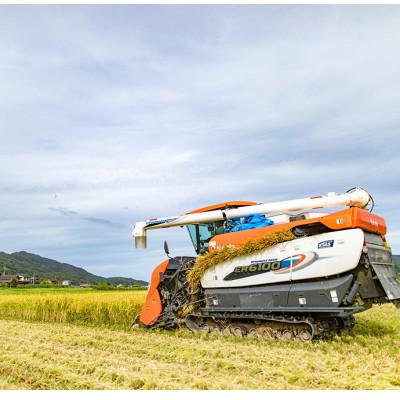 ふるさと納税 与謝野町 【毎月定期便】「京の豆っこ米」精米5kg　低農薬コシヒカリ　京都与謝野町　【伊達農園】全6回 |  | 02