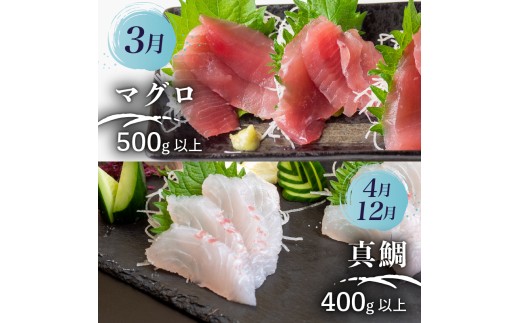 【須崎 の 鮮魚 定期便 】旬 の 刺身 定期便 12回 コース 野島水産 が お届け！ | 下処理済み かつお かつおのたたき 藁焼き タタキ 鯛 真鯛 マグロ 牡蠣 しらす 伊勢海老 セット 高知