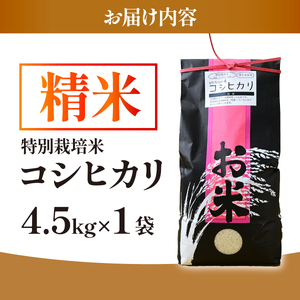 【特別栽培米】コシヒカリ　茨城県産　白米　約4.5kg【1663956】