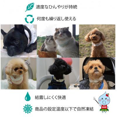 ふるさと納税 神戸市 SUO 18°ICE for dogs CANDY　SSサイズ(マルチ) |  | 02