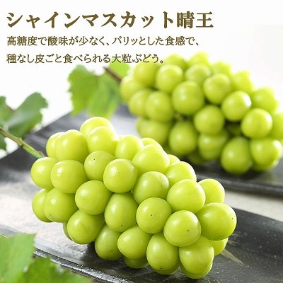 【先行受付】岡山県産　岡山白桃ロイヤル2L250g×2玉・シャインマスカット晴王500g×1房　詰合【配送不可地域：離島・北海道・沖縄県】【1308770】