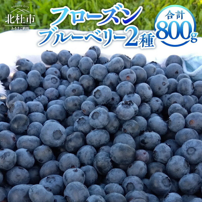 【ふるさと納税】 ブルーベリー 400g×2品種 計800g 完熟 大粒 朝採り 無農薬 冷凍 フローズンブルーベリー 異なる2品種 アソート チャック付きパック 八ヶ岳南麓育ち【2025年先行予約】 送料無料