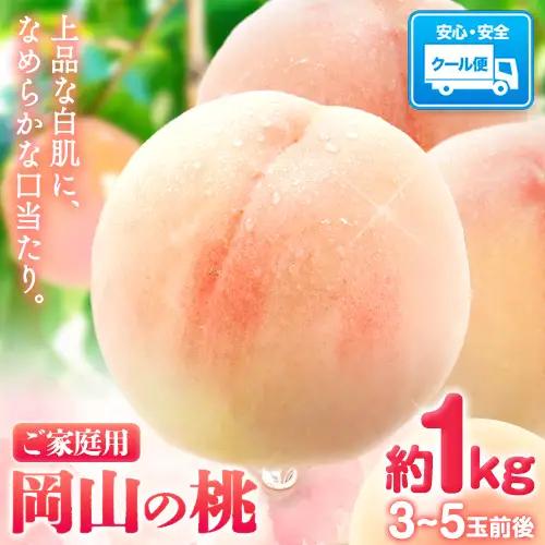 【2027年発送】 岡山の桃 約1kg　白桃