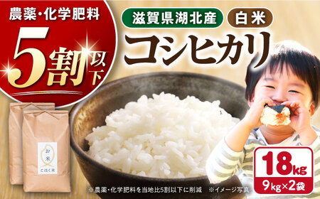 【令和7年産新米】減農薬米 近江米 湖北のコシヒカリ 白米18kg[AQAK006] 白米