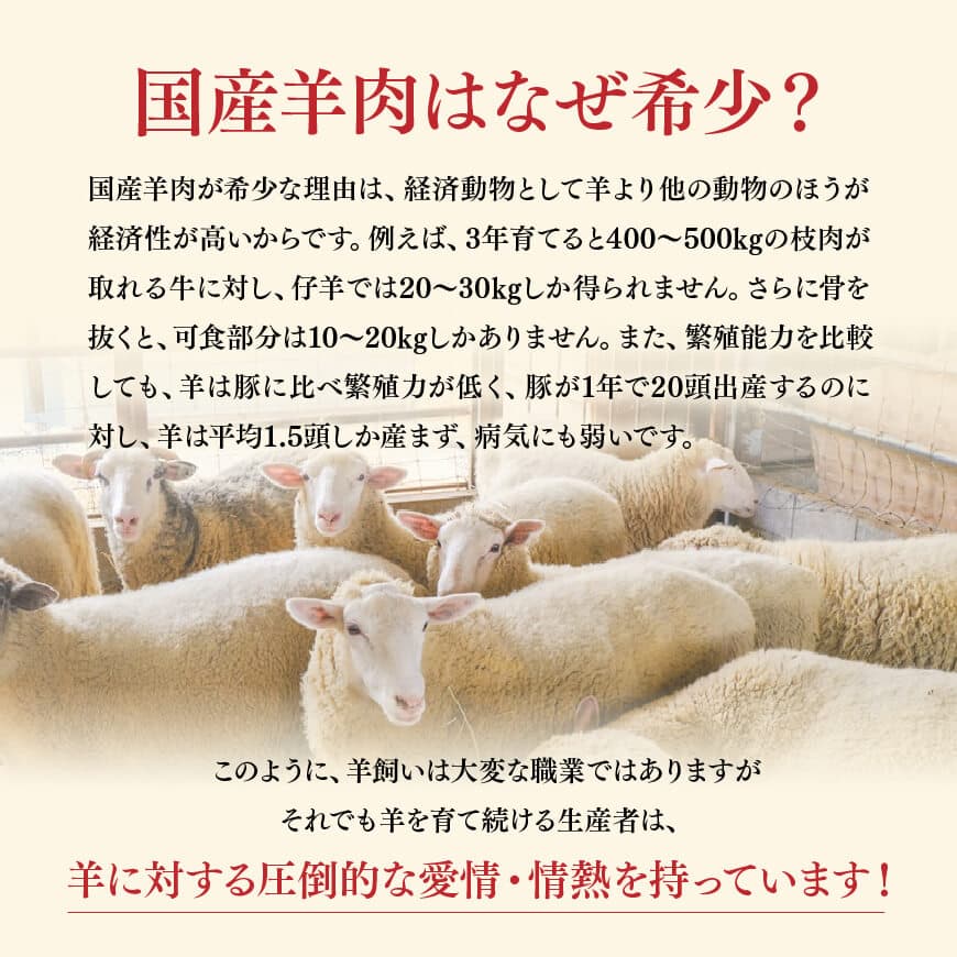 宮崎県産羊肉　寿ジンギスカン300g 【 肉 羊肉 国産 九州産 川南町産 ジンギスカン 羊 ひつじ 味付き 】[D11901]