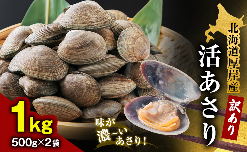 訳あり 北海道 厚岸産 砂出し済み 活あさり 500g×2 (合計1kg) 【厚岸海産】[ アサリ 魚貝 海鮮 大粒 美味しい 栄養 旨み 砂出し 水洗い 冷蔵 便利 ]