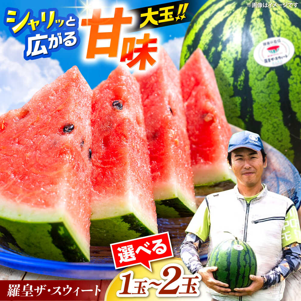 【ふるさと納税】勝田農園の自信満々大玉スイカ 羅皇ザ・スウィート＜勝田農園＞[CGM005] くだもの すいか 西瓜 スイカ 産地直送 農家直送 大玉 糖度 甘未 甘み 果物 フルーツ 長崎 西海