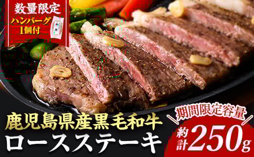 ＜14営業日以内に発送！＞＜1枚・計約250g＋ハンバーグ1個＞4等級以上！鹿児島県産黒毛和牛ロースステーキ1枚セット 黒毛和牛 ステーキ 冷凍【ナンチク】B1-00