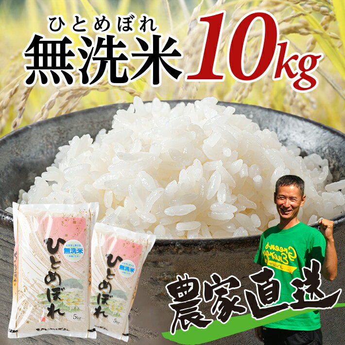 【ふるさと納税】≪新米予約≫ 無洗米 ひとめぼれ 計10kg 5kg×2袋 令和7年産米 山形県産 ご希望時期頃お届け 精米 白米 米 東北 山形県 酒田市 庄内