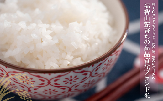 【新米】令和7年産 研ぐお米 夢つくし10kg 米 コメ 10kg 箱入り 5kg×2 夢つくし 10キロ 福岡 夢つくし ゆめつくし 手軽 リピート 日時指定 ギフト お中元 お歳暮 コスパ 福岡県