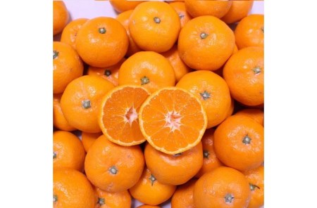 こだわりの和歌山県産 有田みかん 5kg（S～Lサイズおまかせ）ひとつひとつ手選別で厳選！生産者から直送 ｜ みかん