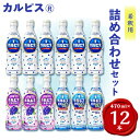 【ふるさと納税】カルピス470ml×カルピス完熟巨峰470ml×カルピス糖質60%オフ470ml　12本セット【1336033】