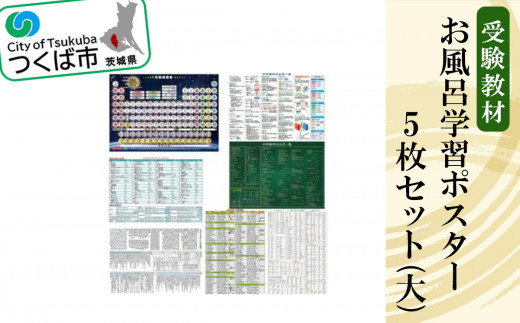 お風呂学習ポスター 受験教材 5枚セット（大）│ 学習ポスター お風呂 教材 ツール 高校受験 暗記 記憶 視覚 勉強 学習 受験 テスト 試験 中学生 理科 国語 数学 歴史 英語 5教科 フライング・エッグ 茨城県 つくば市