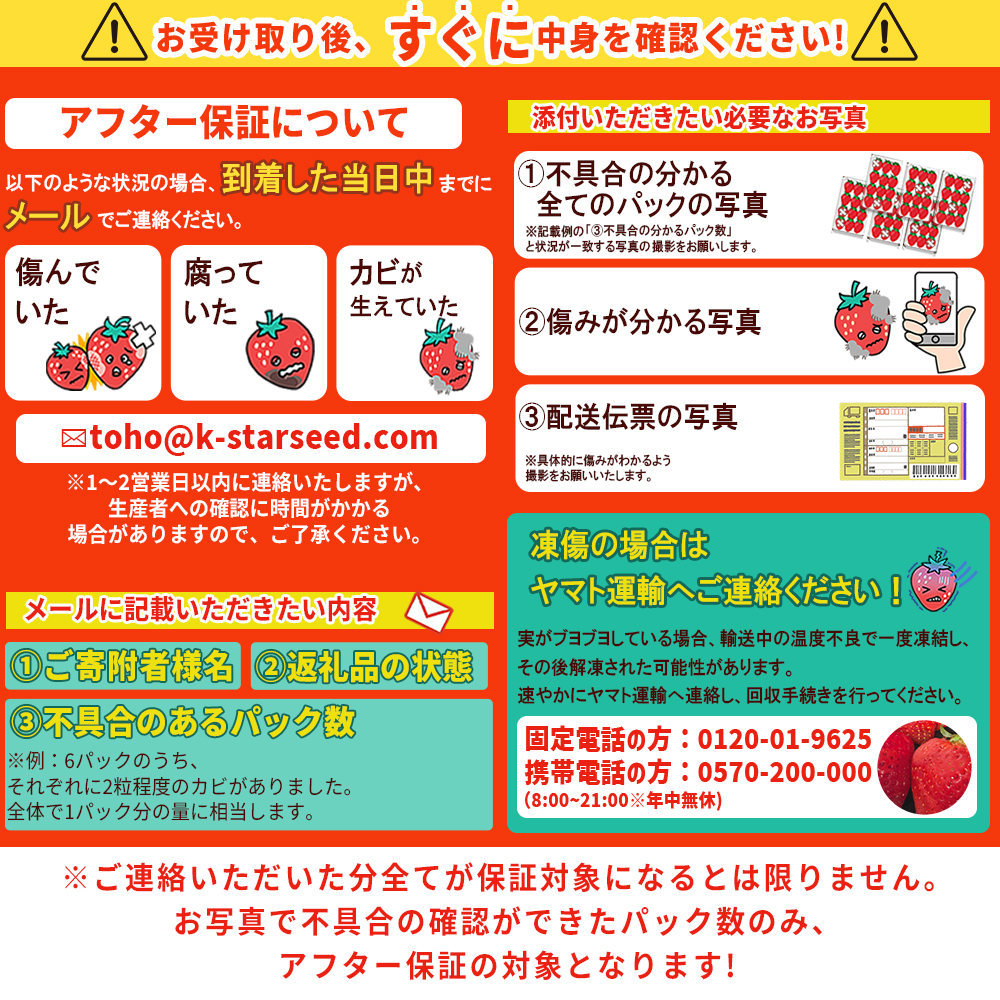 2G3【先行予約】福岡県産「あまおう」定期便3回お届け (1月・2月・3月)