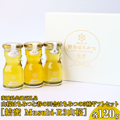 【数量限定】山桜はちみつと春の田舎はちみつの3種ギフトセット[結蜜 Musubi-R3山桜] 【茨城県共通返礼品／五霞町】 | はちみつ ハチミツ 生はちみつ 生ハチミツ 非加熱 茨城県産 蜂蜜 国産 純粋 食べくらべ 食べ比べ セット 詰め合わせ   おすすめ ミツバチ 蜜蜂 みつばち 茨城県産 贈答 贈り物 プレゼント 茨城県 古河市 送料無料 _EY01