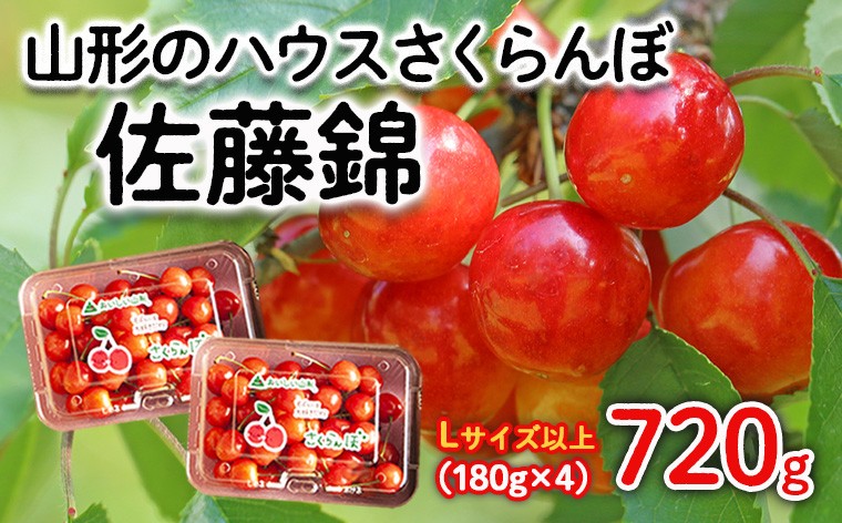 
            山形のハウスさくらんぼ 佐藤錦 720g(180g×4パック) Lサイズ以上 【令和8年産先行予約】FS25-510 くだもの 果物 フルーツ 山形 山形県 山形市 2026年産
          