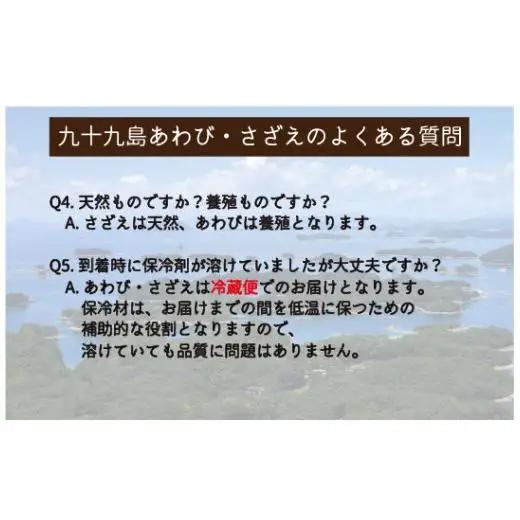 産地直送【 あわび・さざえセット】生食可 2.8kg あわび A180