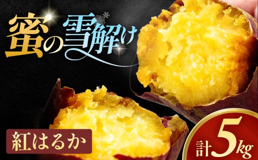 雪解け甘藷「紅はるか」甘い 甘さ凝縮  さつまいもスイーツ 紅はるか さつまいも 寒冷地 蜜 濃厚 ねっとり 青森県 三戸町 CE-25-002