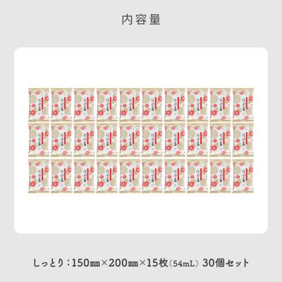 ふるさと納税 土佐市 りぐる汗ふきシート　しっとり30個セット(1個15枚入り) |  | 03