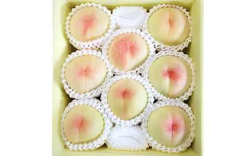 【先行予約】 とろける果肉とたっぷり果汁の岡山の白桃・白鳳 2kg箱（約5個～9個） 【2026年7月上旬～8月上旬発送予定】 ／ 桃 もも モモ はくとう はくおう 果物 くだもの フルーツ デザート 冷蔵