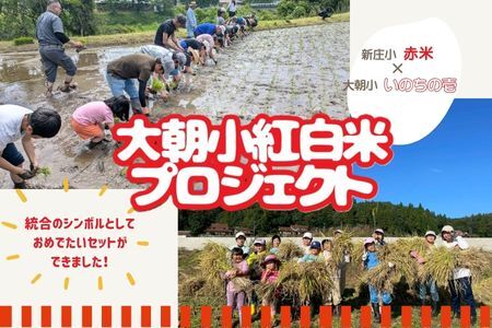 大朝小紅白米プロジェクト ハレの日ごはんセット_WA012_008