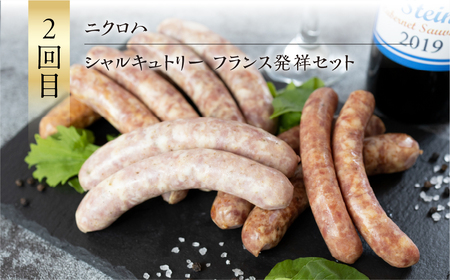 厳選 グルメ 定期便 全3回 お好み焼き ソーセージ うなぎ てづくり 豚肉 豚玉 シャルキュトリー 豊橋うなぎ 国産 鰻 定期 3回 お楽しみ 人気  ふるさと納税 愛知県 豊橋市 送料無料